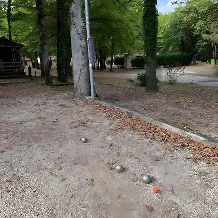 Mobil-home Le Castelnaud 21- 5 Pers * Calviac-en-Perigord