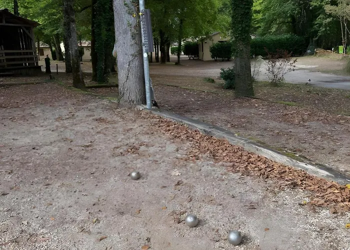 Mobil-home Le Castelnaud 21- 5 Pers Calviac-en-Perigord