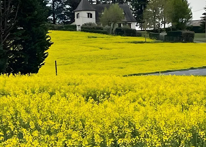 펜션 Mobil-home Le Castelnaud 21- 5 Pers *